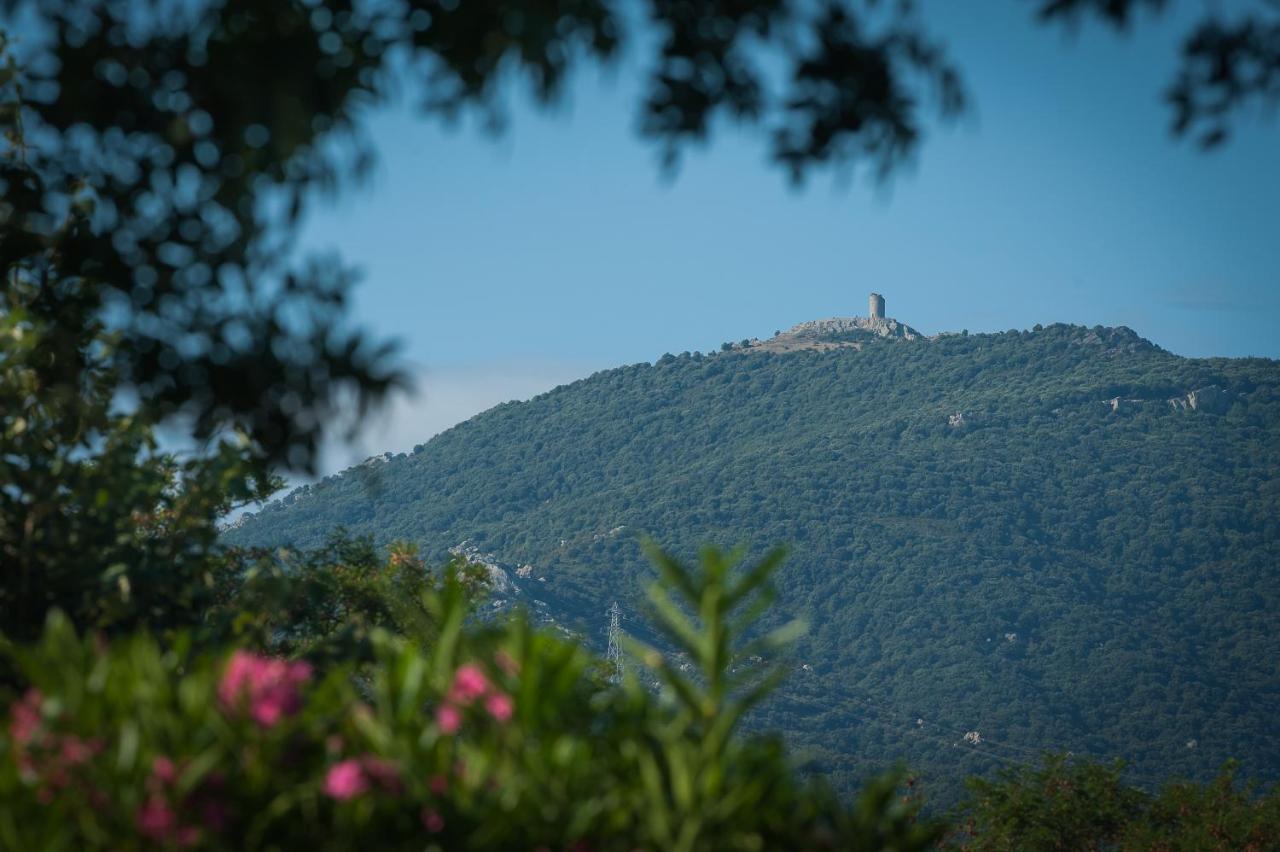 Camping La Plage Argeles Eksteriør bilde
